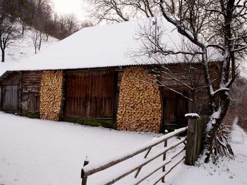 Foto Arta intampinarii iernii (c) Petru Goja